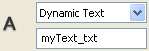 An instance name was assigned to the dynamic text field.